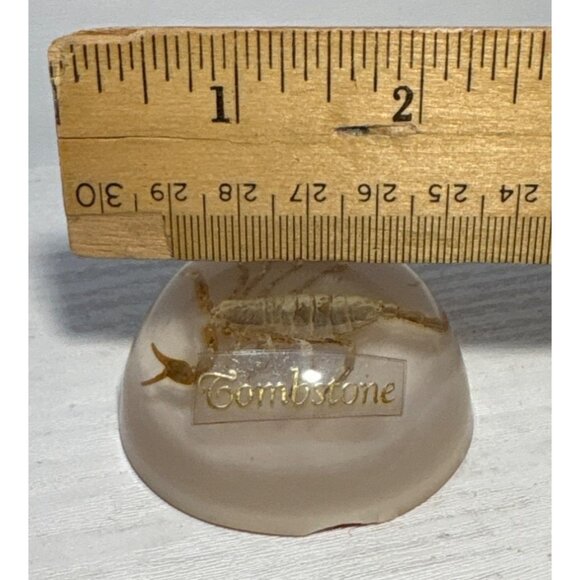 Vintage  Scorpion Paperweight Tombstone Dome Resin Bug Display Red Felt Base - Picture 6 of 8